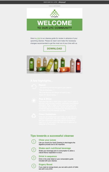 Original browser preview of Shopify email